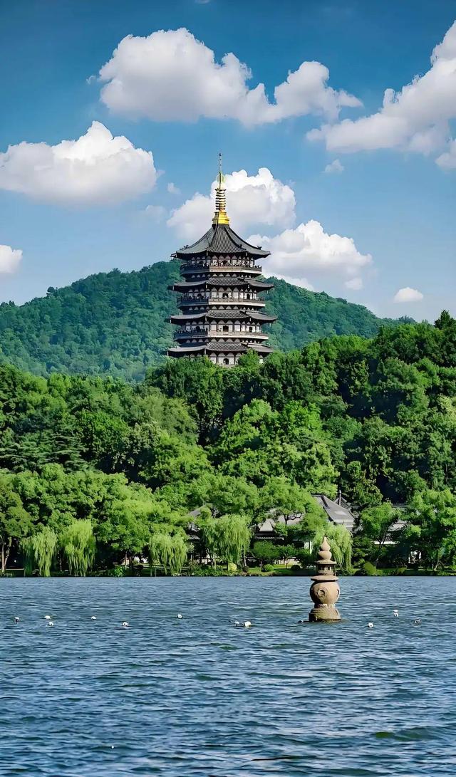 国产又爽又大又黄A片另类软件